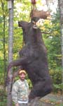 John Drew, 42 inch spread, 880 pounds, 14 points